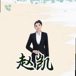 赵凯